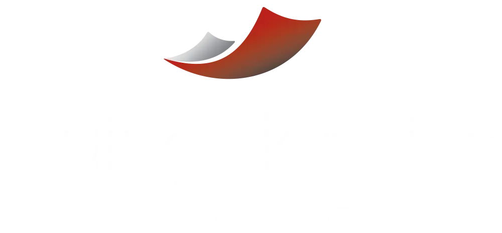 Flying Napkins logo transparent